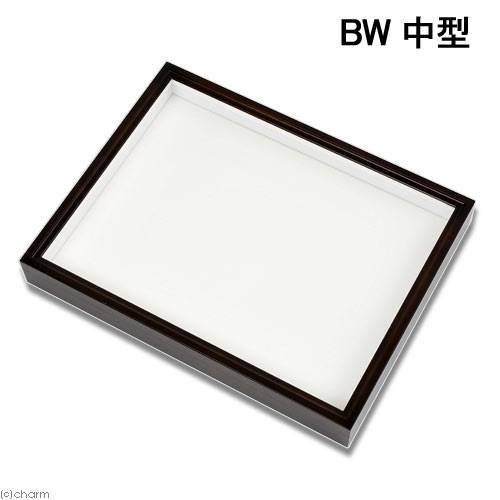 バードウィング製　ドイツ型標本箱　ＢＷ中型　（幅４２．５X奥行３２．５X高さ５．５ｃｍ）　昆虫　蝶　甲虫　標本ケース　ＣＲＣ18―82―30―00―00