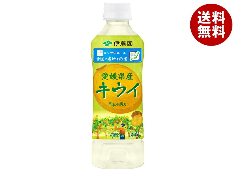 伊藤園 ニッポンエール 愛媛県産キウイ 500mlPET＊24本入＊(2ケース) 5,242円