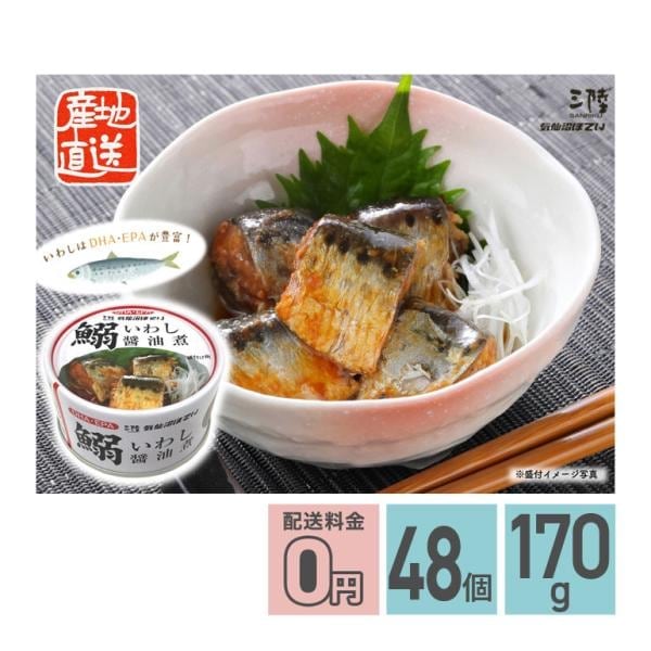 いわし醤油煮 缶詰 170g 48個 軽減8%