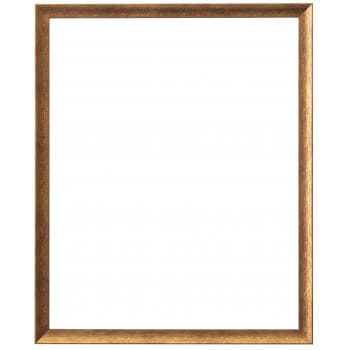 ラーソン・ジュール マンティーヤ 四切(内寸424x348mm) ゴールド LJS-22496304