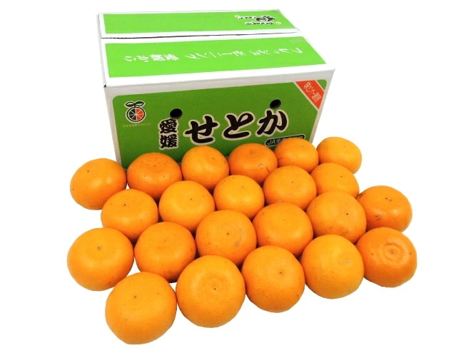 愛媛産 =せとか= ちょっと訳あり 約5kg 大きさおまかせ 産地箱 予約 1月末以降 6,783円
