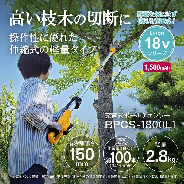 BPCS-1800L1 616850A [充電式ポールチェンソー]