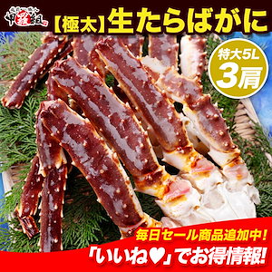 特大＆極太 生たらばがに足1kg前後×3肩シュリンク包装 タラバガニ たらば蟹 かに 蟹 身入りたっぷり かに鍋 焼きガニ グルメ 贈り物 カニ刺し かにしゃぶ