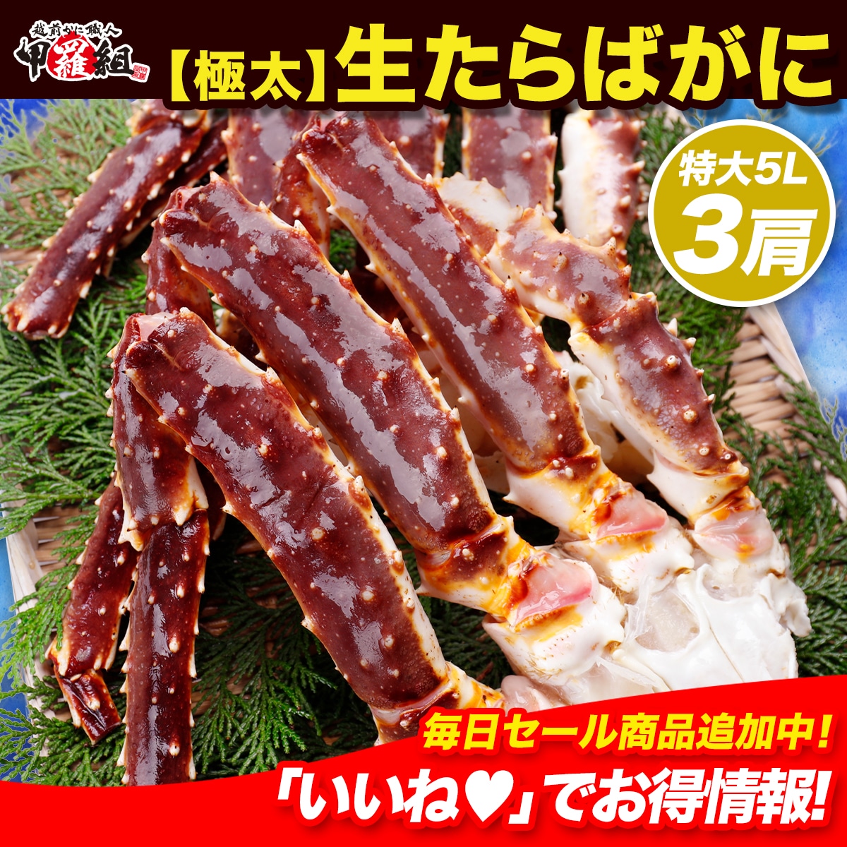 特大＆極太 生たらばがに足1kg前後×3肩シュリンク包装 タラバガニ たらば蟹 かに