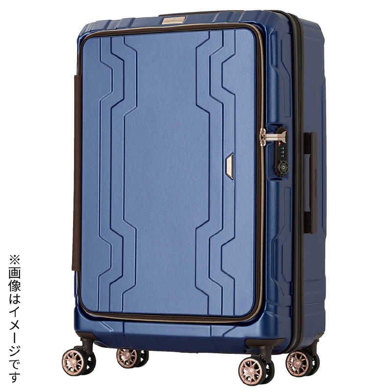 レインズ ランティングネット RSGL270-S タモ枠 36sm付 /SP062M
