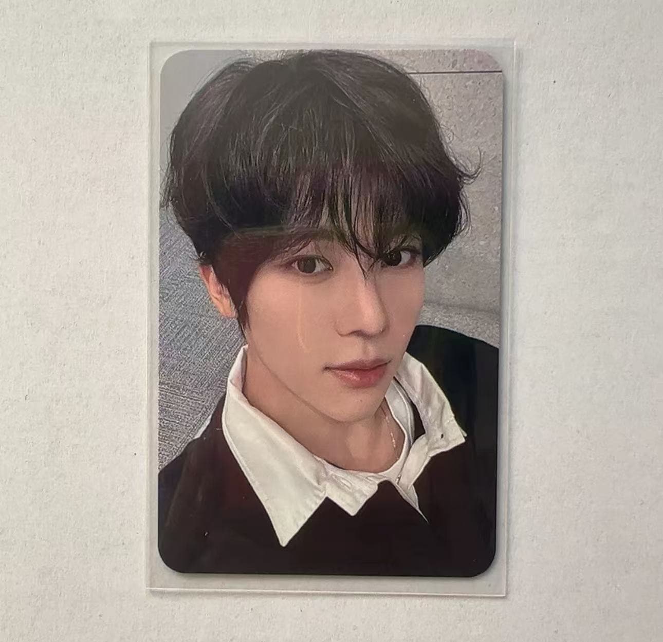 nct wish steady jp lucky draw 特典 メンバ ーsion