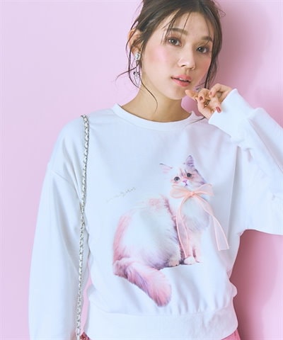 特殊な山野草鉢　手造り一品作家物　龍聖作 特殊な山野草鉢 手造り一品作家物 龍聖作 【公式通販】