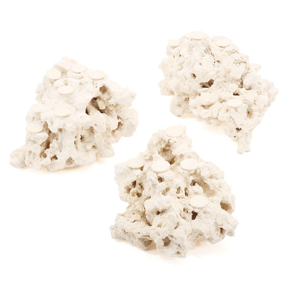 マルコロック　リーフセーバー　フラグベース　Ｍサイズ　１個　海水水槽用　水槽用石　デスロック　化石サンゴ　ＣＲＣ10―35―90―10―00