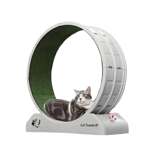 1pc キャットローラートレッドミルの屋内組み立て静音フィットネスキャットランニングホイールペットキャット用プラスチックトレッドミル