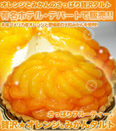 タルト ケーキ みかんタルト 5号 オレンジケーキ 贅...のサムネイル