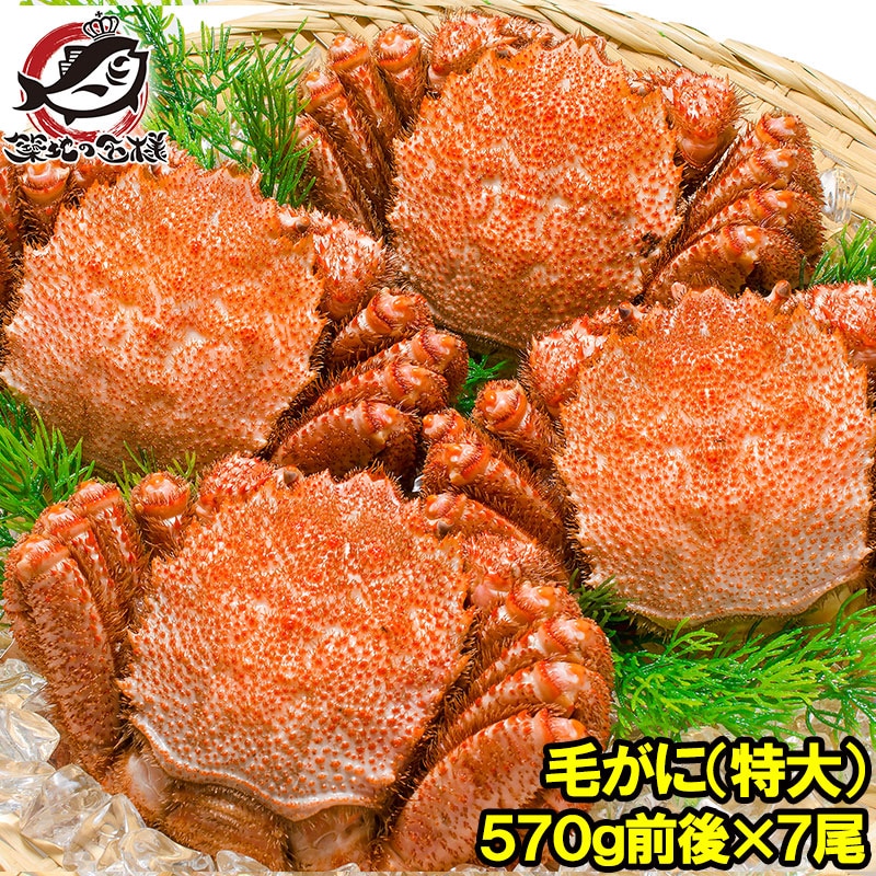 特大 毛ガニ 毛蟹 浜茹で毛がに姿 平均570g前後×7尾 合計4kg前後 1ケース ボイル 冷凍 北海道産 最高級 堅蟹 堅ガニ かに カニ 蟹 カニ鍋 かに味噌 カニ味噌 築地市場 豊洲市場