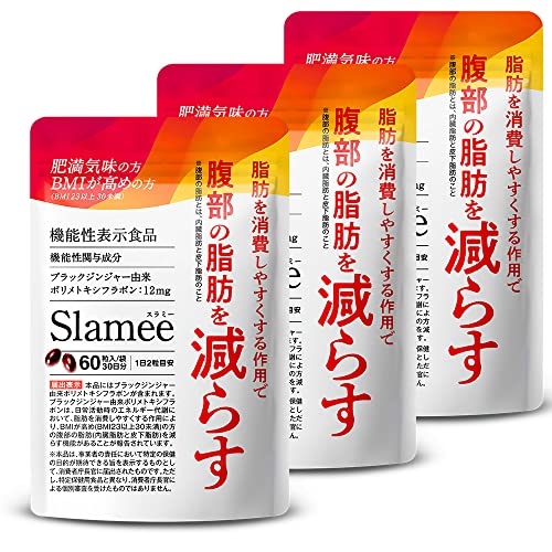 【3袋セット】Slamee スラミー お腹の脂肪 皮下脂肪を減らす ダイエット サポート サプリ 機能性表示食品 60粒2袋