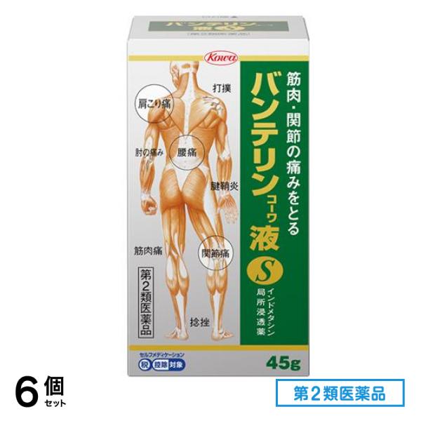 第２類医薬品 コーワ液S 45g 6個セット