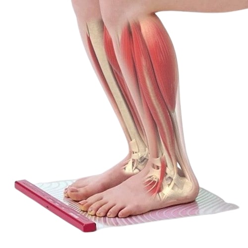 「下半身ダイエット・セルライト減少・骨格筋量アップ・体脂肪率アップ・太もも周囲径の減少」 レッグシーン EMS 下半身ケア + マスクパックギフト