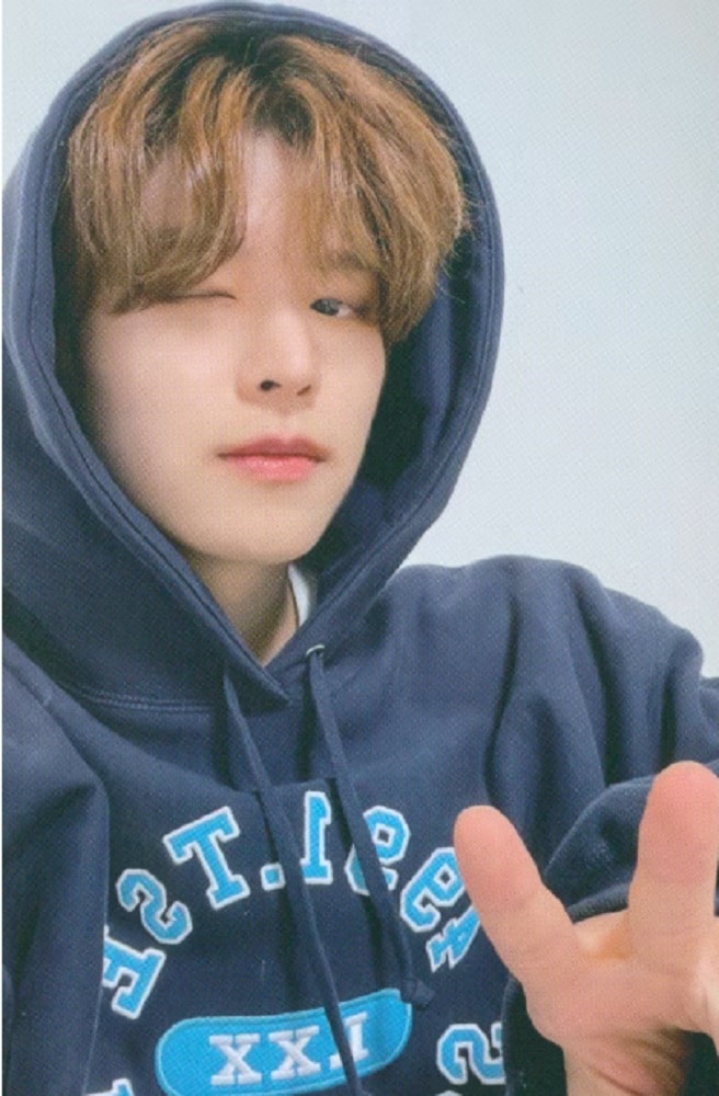 StrayKids スキズ 公式グッズ 5-STAR トレーディングカード Seungmin （スンミン）