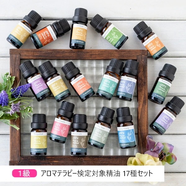 Lapature（ラパチュア） エッセンシャルオイル アロマテラピー検定1級対象精油17種セット