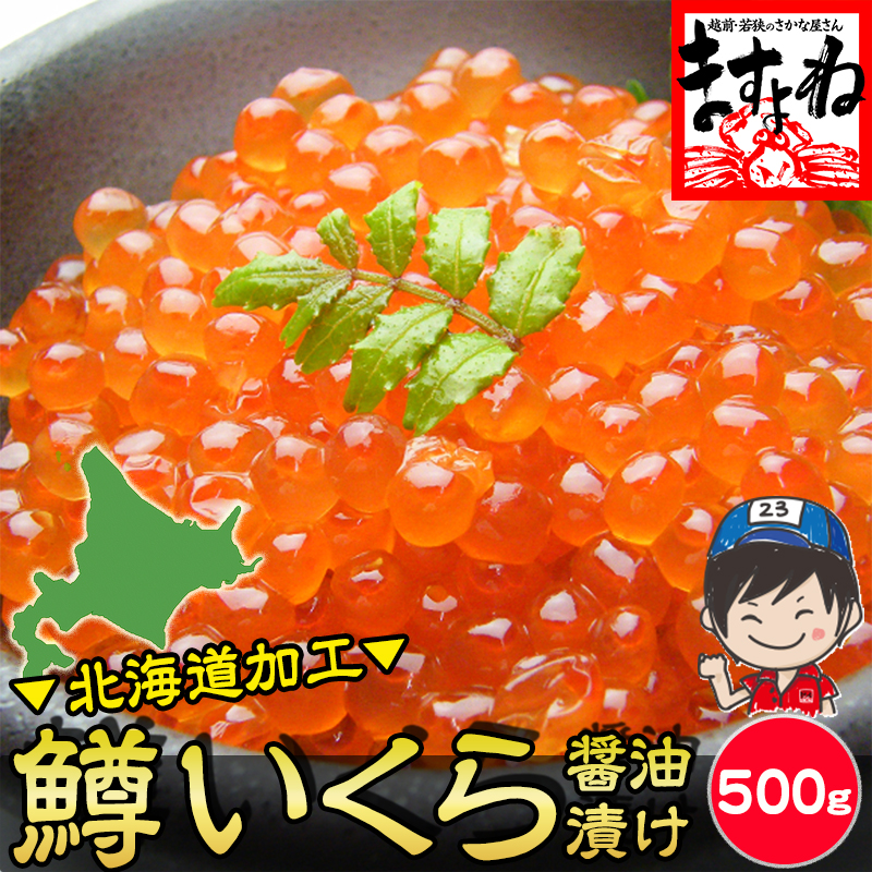 濃厚 鱒いくら イクラ 醤油漬け たっぷり500g（北海道加工/ロシア・アメリカ(アラスカ)産）【ギフトのし対応】