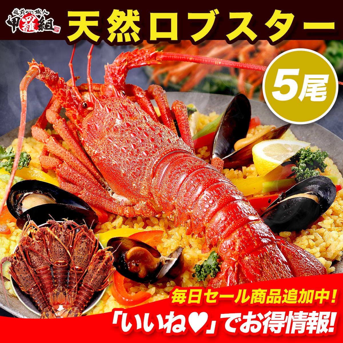 天然 ロブスター　合計1.5kg前後（300g前後×5尾） えび 海老 エビ イセエビ 冷凍 高級 おせち お歳暮 クリスマス ディナー インスタ映え 映え料理 ビスク