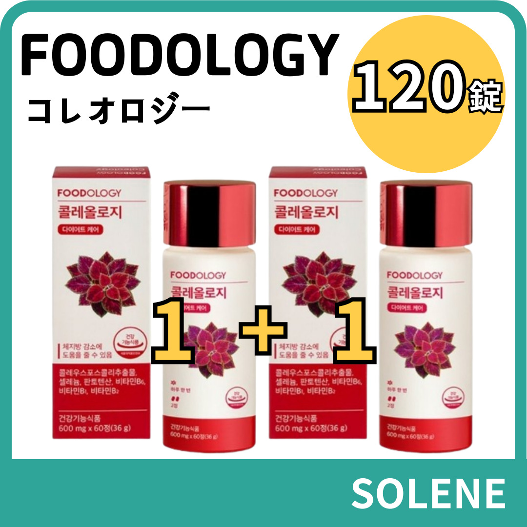 コレオロジー 60錠 1BOX/1+1/コレオロジーカット ダイエット サプリメント 炭水化物カット 体脂肪減少 シーズン4 リニューアル
