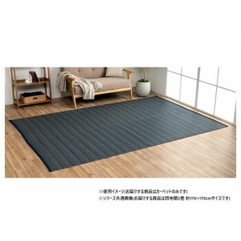 日本製 洗えるい草調カーペット ネイビー 団地間2畳 約170x170cm 1090031190202