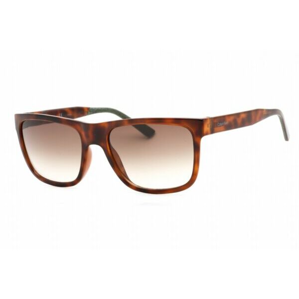 サングラス Calvin KleinCK21531S-220-58 Sunglasses Size 58mm 145mm 19mm brown Men NEW
