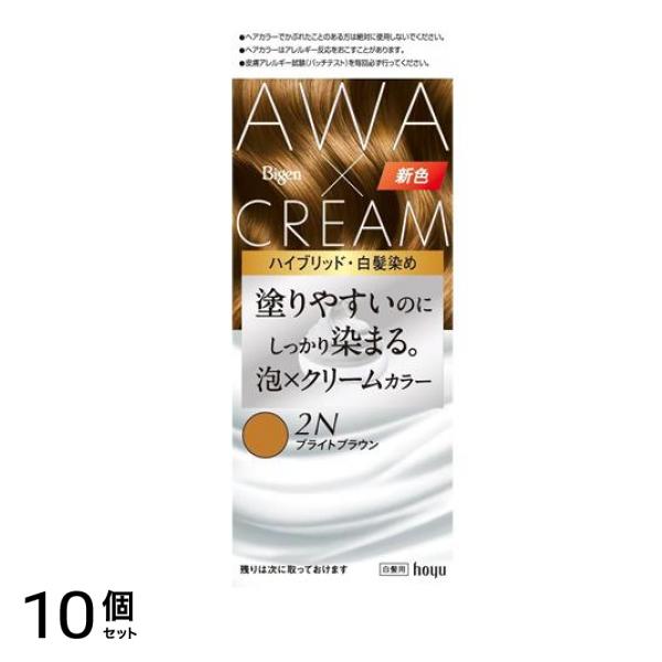 泡クリームカラー 白髪用 2Nブライトブラウン 1組入 10個セット