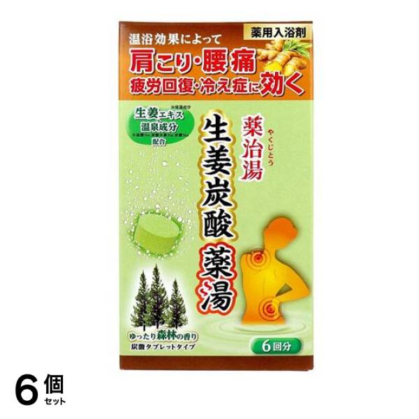 ヘルス薬用入浴剤 薬治湯(やくじとう) 生姜炭酸薬湯 ゆったり森林の香り 50g× 6錠 6個セット