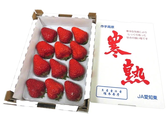 愛知 ファームトヨヒロ産 =寒熟いちご(完熟イチゴ)= 9-15粒前後 風袋込約650g 化粧箱 予約 2月以降