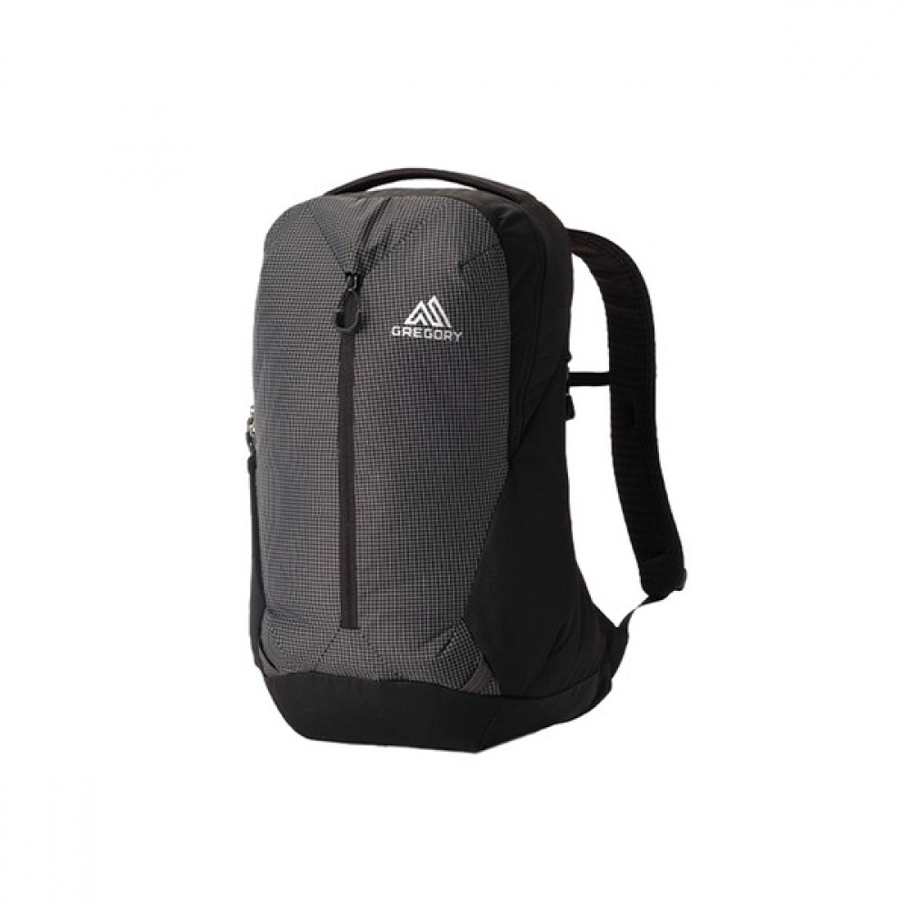 (グレゴリー) グレゴリールーン 20 バックパック-テクノグラナイト