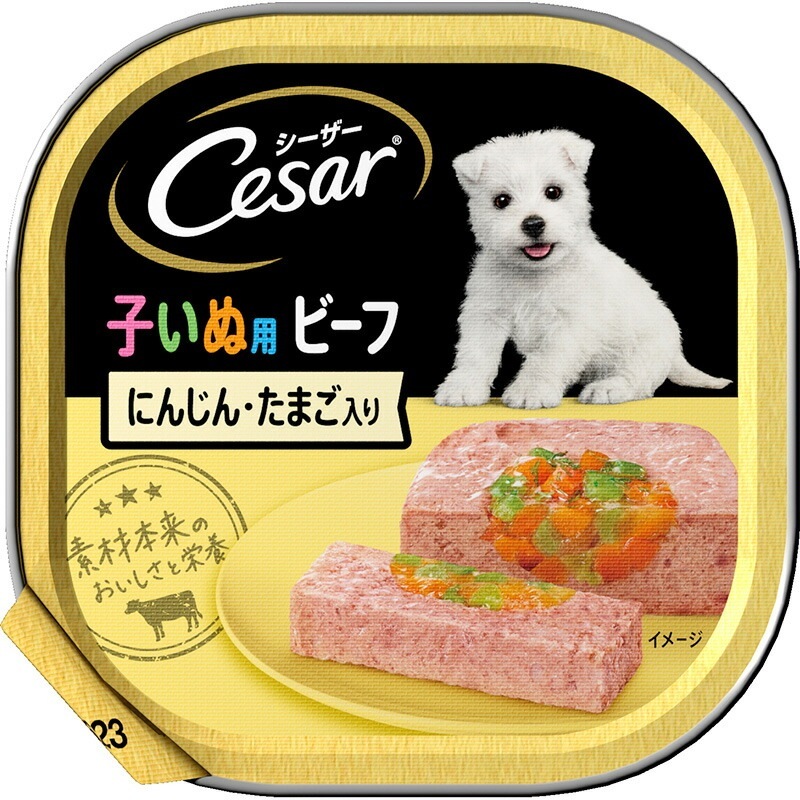 （まとめ買い）マース シーザー 子いぬ用 ビーフ にんじん/たまご入り 100g 犬用フード [x24]