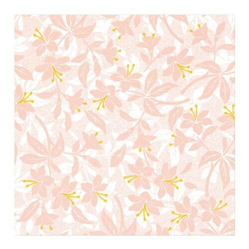 包装紙 FDラップ ティナ 100セット FD-24