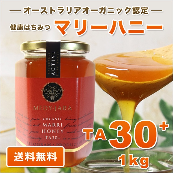 新しく着き マリーハニー TA はちみつ 蜂蜜 マヌカハニーと同様の健康活性力 1000g 30+ 蜂蜜 - www.shred360.com