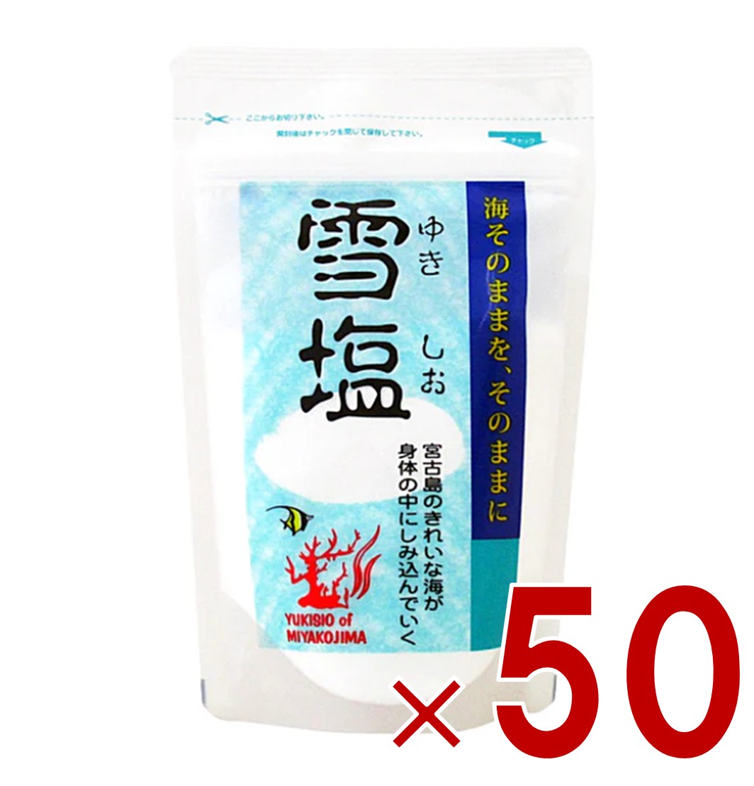 雪塩 パラダイスプラン 宮古島 120g パウダータイプ スタンドパック 塩 調味料 ミネラル 塩分補給 熱中症対策 沖縄 お土産 贈り物 人気 天ぷら 50個