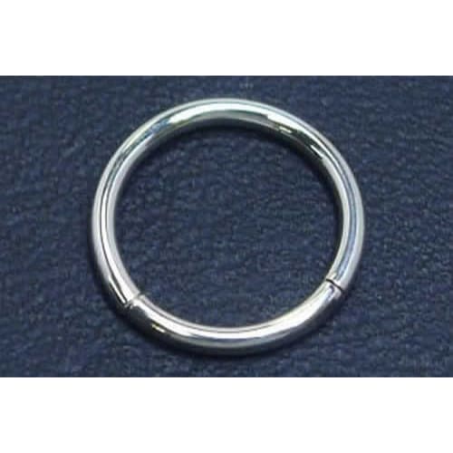 14金 ホワイトゴールド セグメントリング 16G 16ゲージ ボディピアス メンズ レディース シンプル プレーン 真円 高級 ギフト プレゼント メンズ レディース w4sr6xxxxxxxx 1