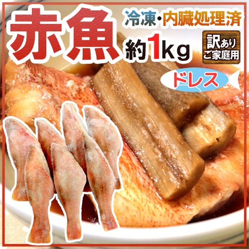 赤魚 ドレス 約1kg 訳あり 大きさおまかせ ノルウェー カナダ イギリス アラスカ産など