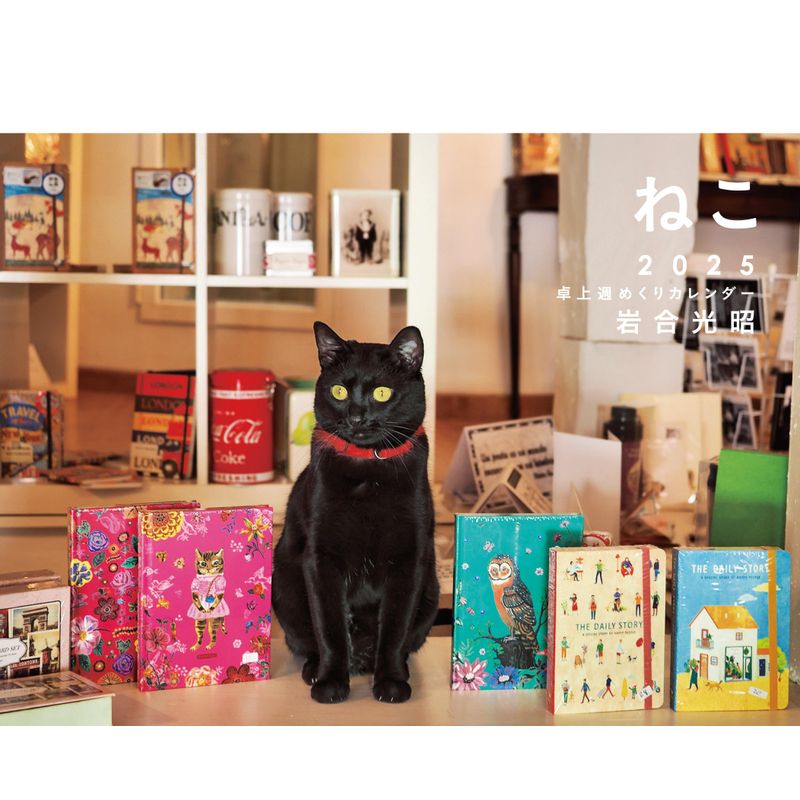 2025 岩合光昭 ねこ 卓上週めくりカレンダー (カレンダー) 5,198円