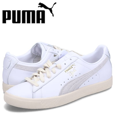 清国 中国 画家 楊无恙 肉筆画讃色紙 しみ目立つ 清国 中国 画家 楊