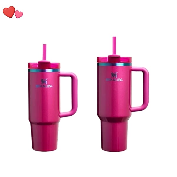 クエンツァ H2.0 フローステート タンブラー ベリー トリュフ 887ml /1.18L