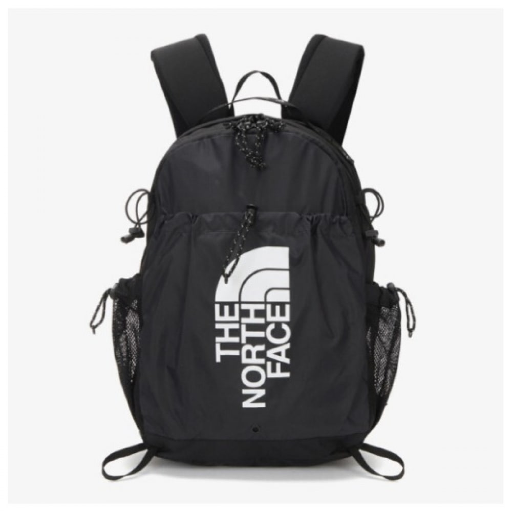 ノースフェイスバックパック KQF NM2SN04A ウィメンズライトボーザー 20 11,946円