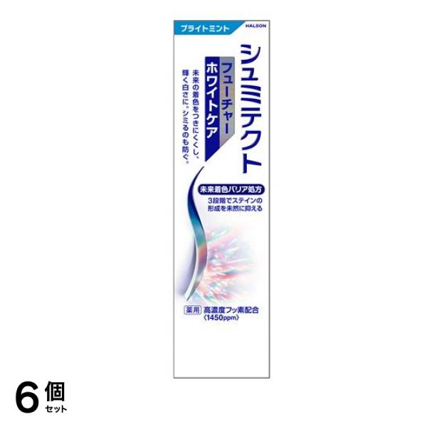 シュミテクト フューチャーホワイトケア ブライトミント 80g 6個セット