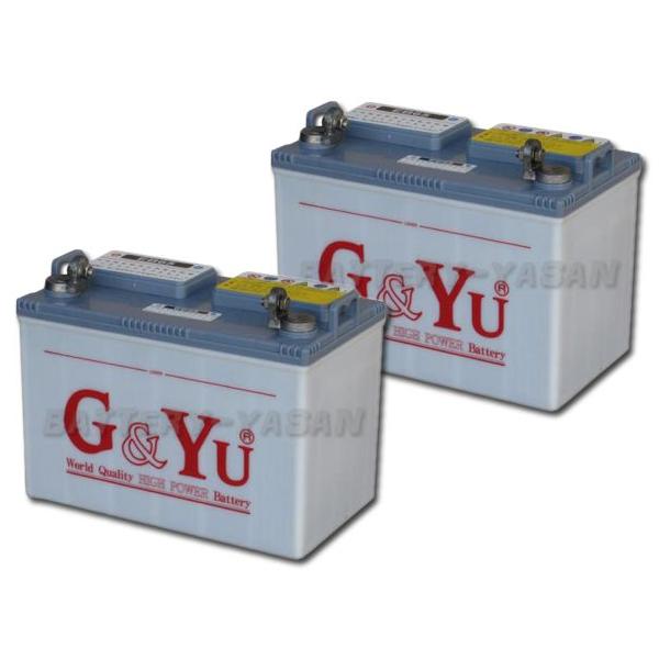 G&Yu [ジーアンドユー] ディープサイクルバッテリー EB-65 (12V)　L型端子（LE） （お得な２個セット）