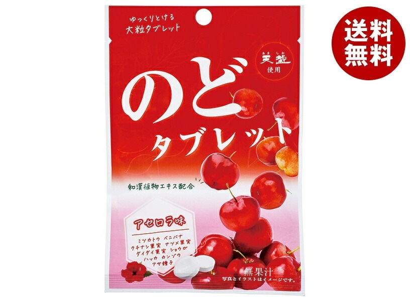 赤穂化成 のどタブレット アセロラ味 24g×100(10×10)袋入×(2ケース)