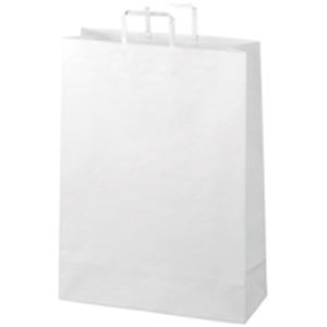 ジョインテックス 手提袋 平紐 白 特大 300枚 B294JW6