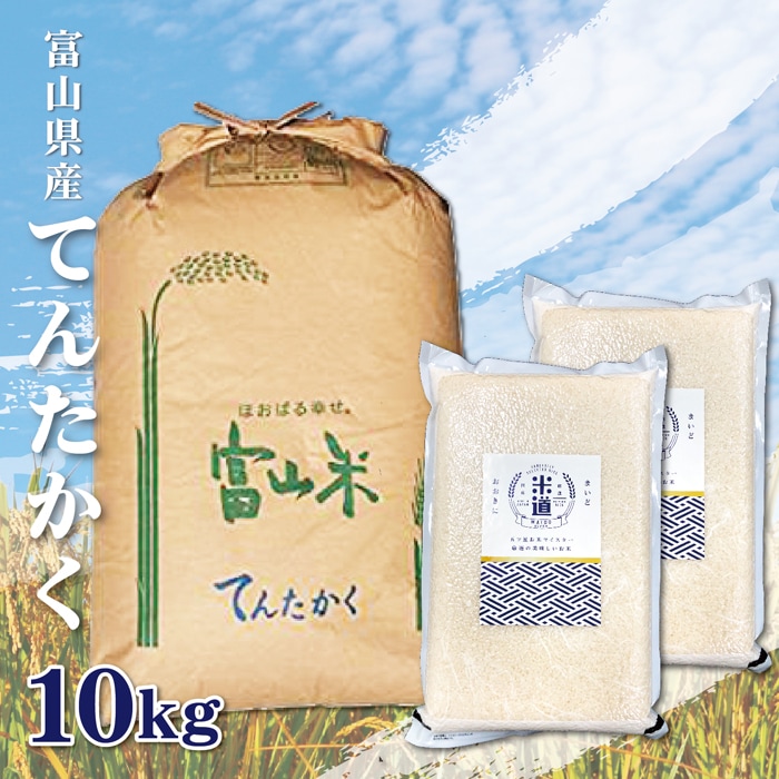 【新米】 10kg 送料無料 てんたかく 富山県産 10Kg 10キロ お米 令和三年産
