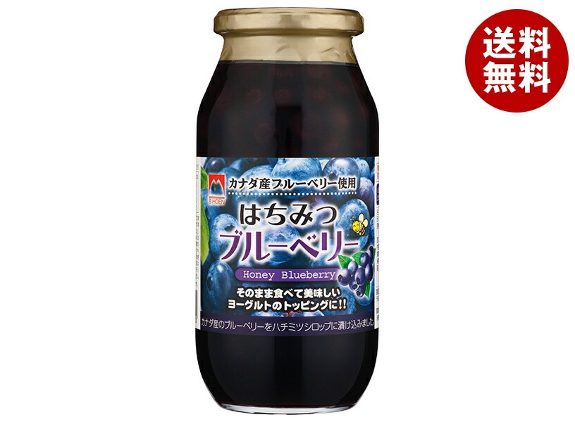 加藤美蜂園 はちみつブルーベリー 650g瓶×6本入×(2ケース)