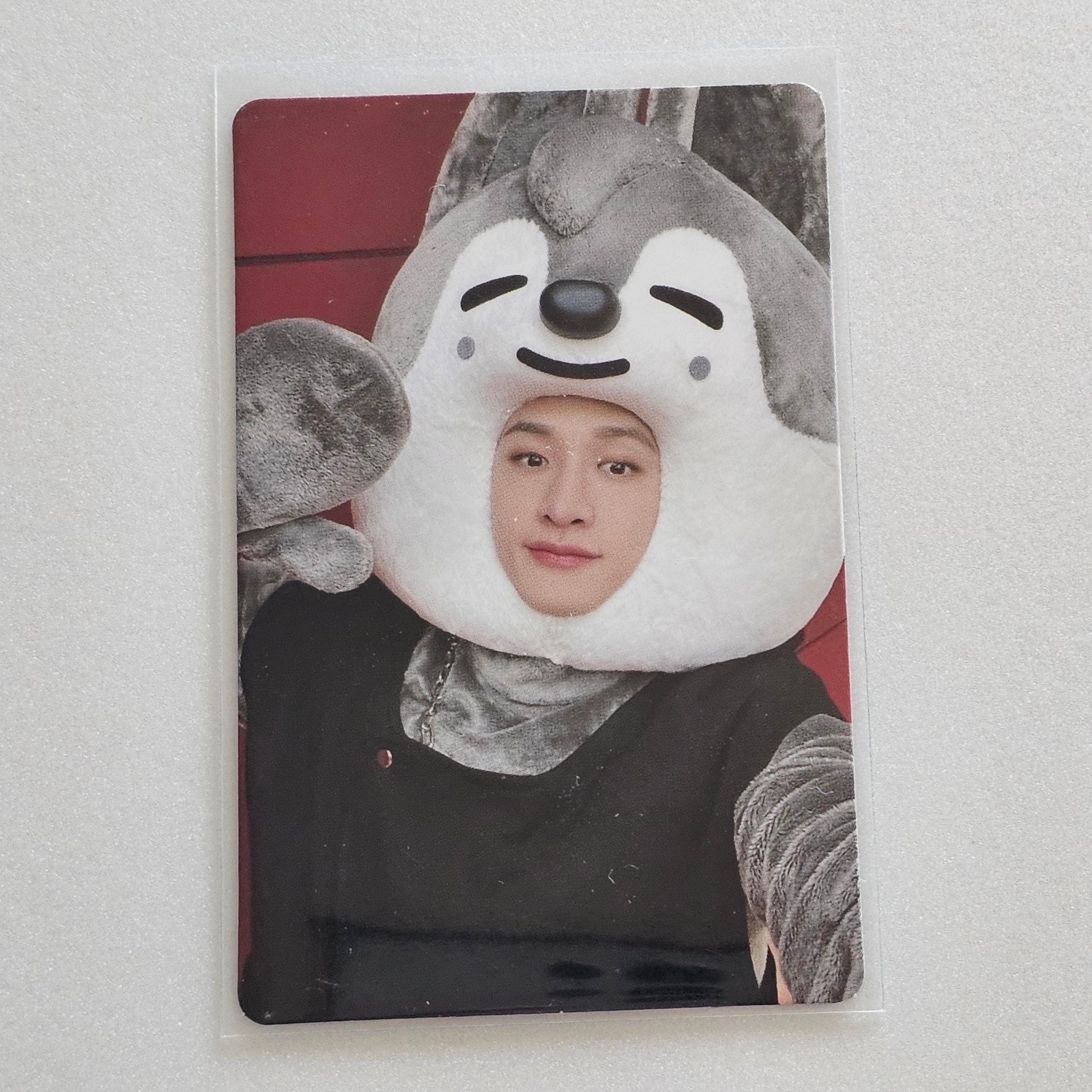 [ 公式 ] Stray Kids(스트레이 키즈) MAXIDENT JYP SHOP Official 特典 PHOTOCARD - BANGCHAN