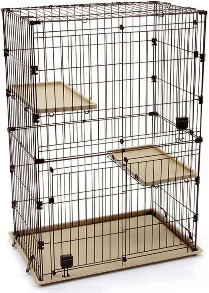 キャットサークル 2段