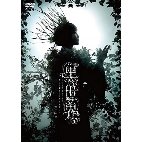 鞘師里保 ／ 音楽朗読劇『黒世界 リリーの永遠記憶探訪記或いは終わりなき繭期にまつわる寥.. (DVD) PCBP-54342 4,925円
