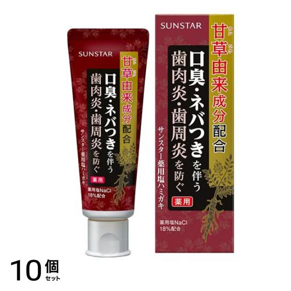 薬用塩ハミガキ スパイシーミントタイプ 85g 10個セット
