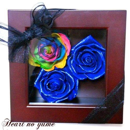 【高級プリザーブドフラワー】オランダ輸入レインボーローズブルーローズ フレーム Qoo10] 高級プリザーブドフラワーオランダ輸入生花 : 日用品雑貨